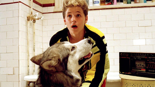 Toss Some Treats at These 10 Heroic Horror Dogs